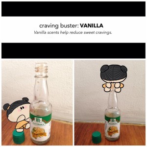 Craving Buster Vanilla